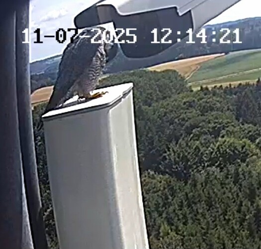 Screenshot_20250711_121429_Samsung Internet