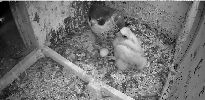 Screenshot_20230512-220254~2