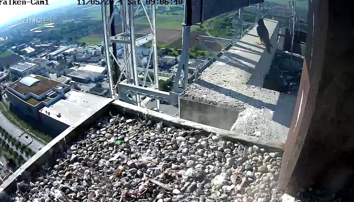 Screenshot_20240511_090700_Chrome