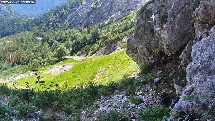 Bildschirmfoto vom 2025-06-21 11-09-57