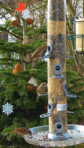 Screenshot_20221225-081925_Chrome