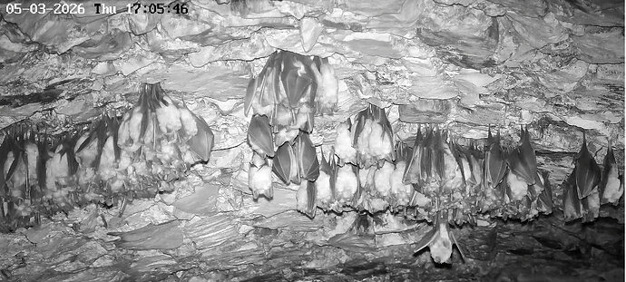 2026-03-05_2 ab 17.00 halbwache Hufi in Keller