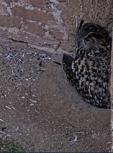 Screenshot_20260215_073709_Samsung Internet