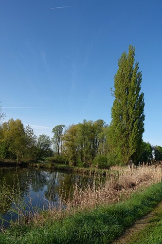 DSC03121_1