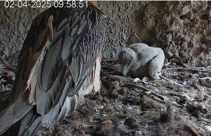 Ausgeschlafen 02.04.25