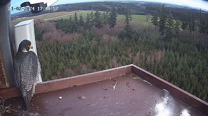 Snap_2024.02.21_17h39m52s_018_