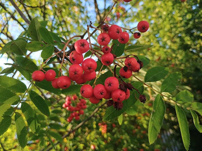 IMG_20250807_192801542