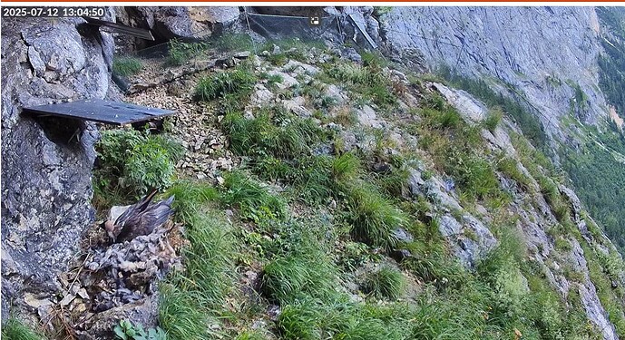 Screenshot 2025-07-12 130515