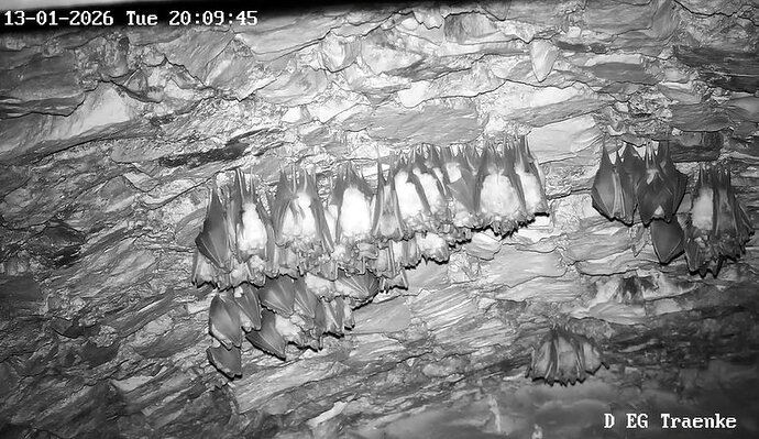 2026-01-13_11 ab 20.00 Cluster