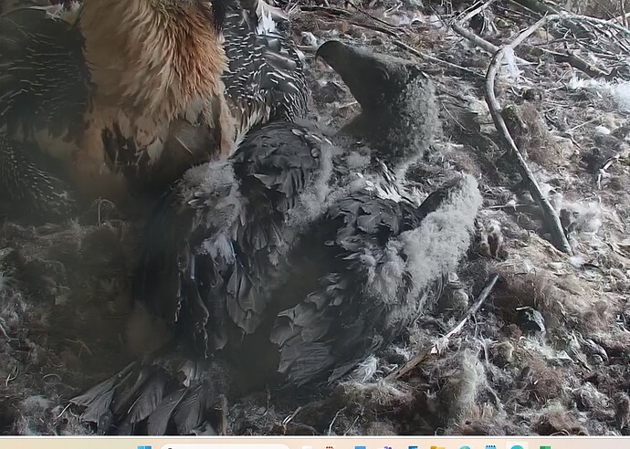 Fragender Blick an Mascha 28.04.24