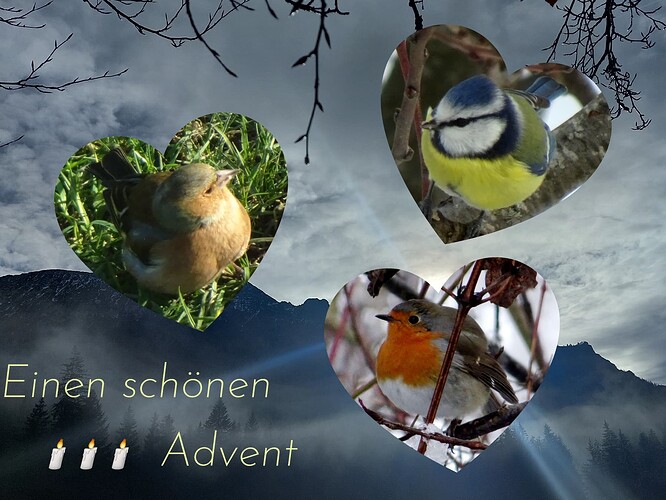 Collage_2023-12-15_22_27_25
