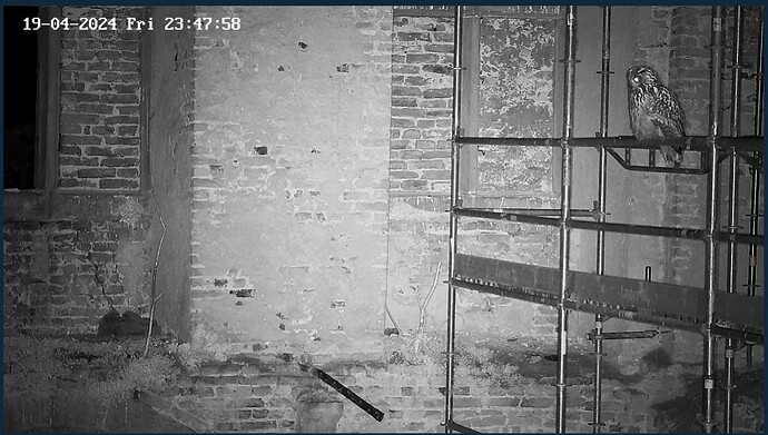 Screenshot (886)