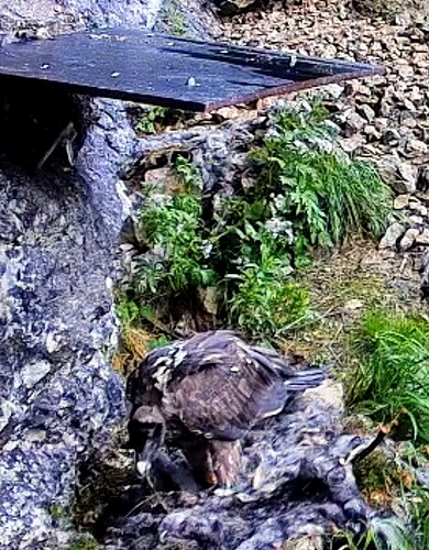 Screenshot_2025-06-16-14-29-20-488_com.android.chrome