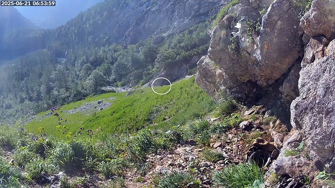 Bildschirmfoto vom 2025-06-21 06-54-23