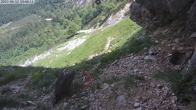 Snap_2023.06.12_13h44m39s_014_