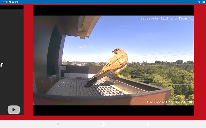 Screenshot_20230613-163318_Chrome