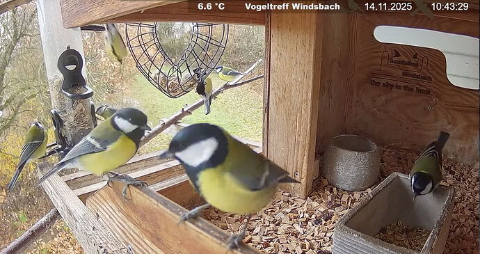 Snap_2025.11.14_10h44m30s_005_