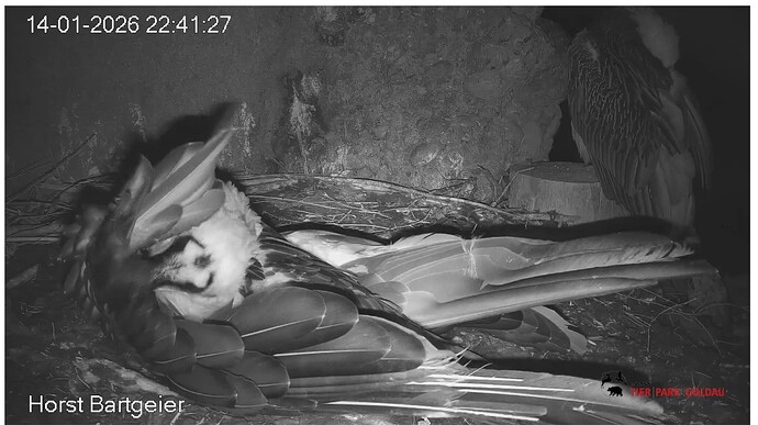 Screenshot_20260114-224230~2