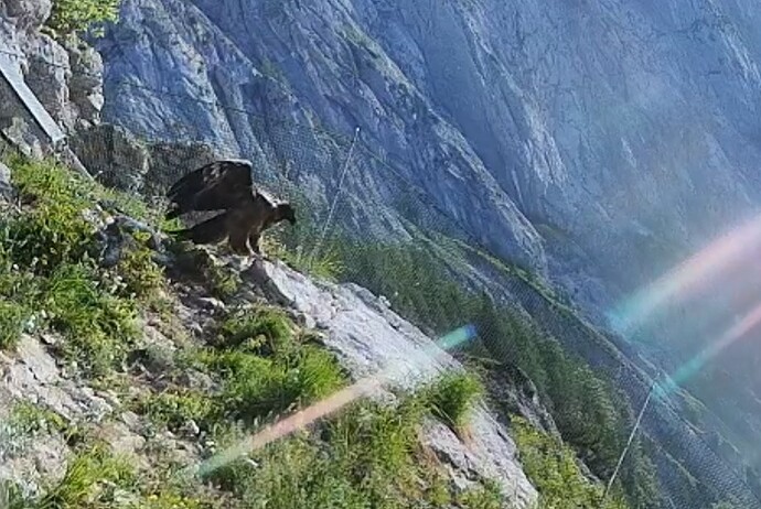 Screenshot_20250615_064101_Firefox