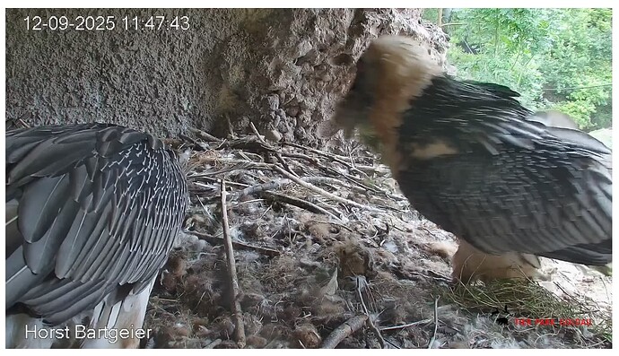 Screenshot_20250912-114846~2