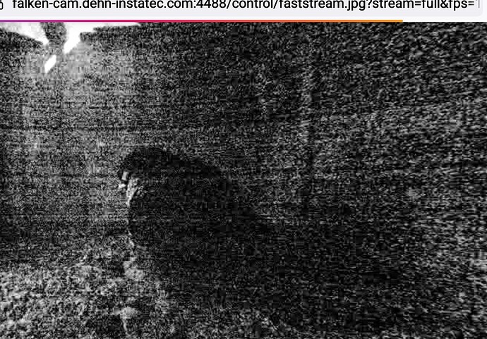 Screenshot_20251006-204843_Firefox~2