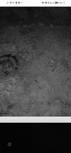 Screenshot_20230603_021552_com.android.chrome