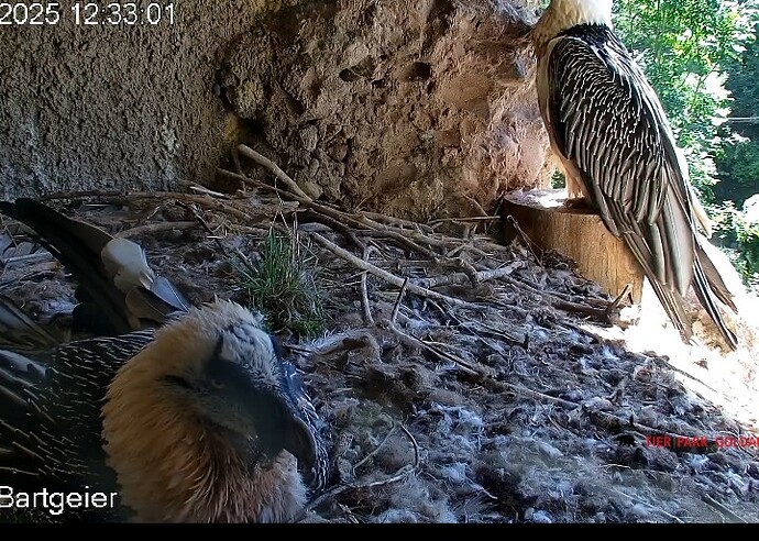 Screenshot_20250915-123412_Chrome