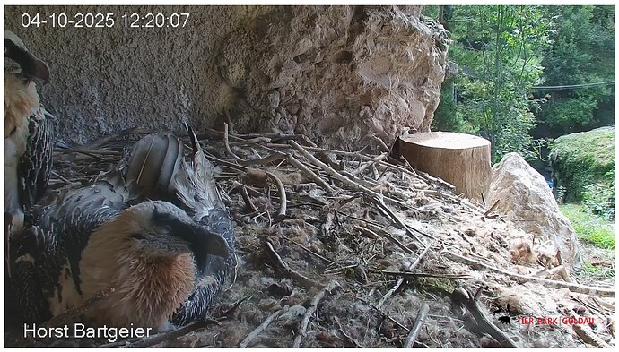 Screenshot_20251004-122120~2