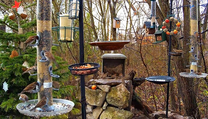 Screenshot_20221226_115858_Samsung Internet