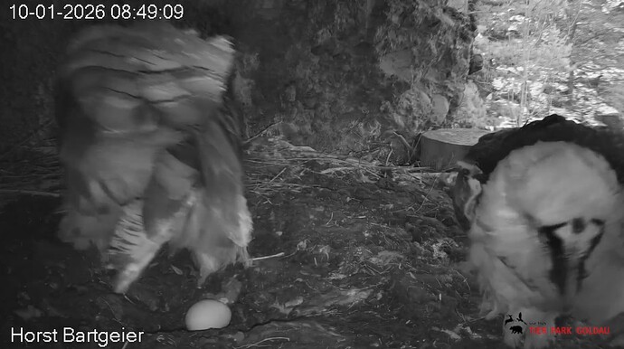 Besuch von Hans 10.01.26