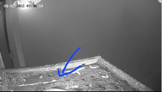 Screenshot_20221204-073626_Samsung Internet