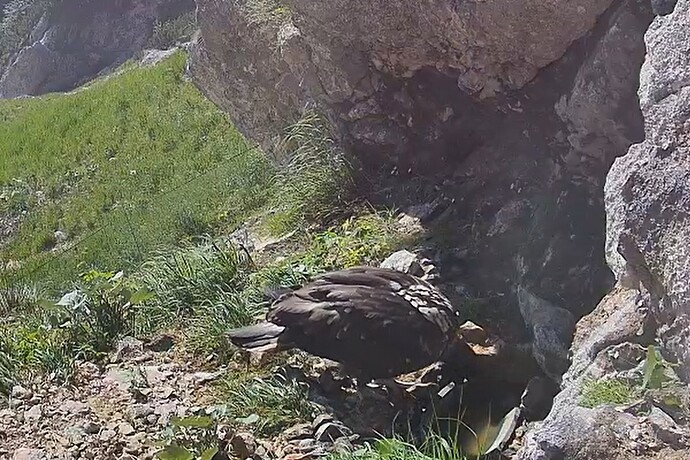 L. liebt Wasser 19.06.25