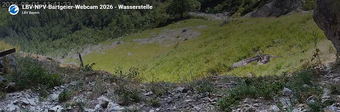 Screenshot 2026-08-01 171748