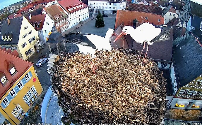 Screenshot_2023-11-24-07-30-36-490_com.android.chrome