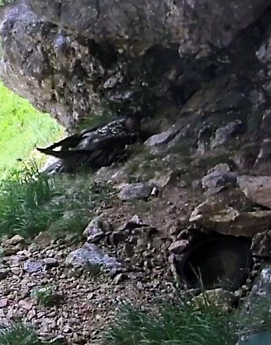 Screenshot_20230705-110109~3