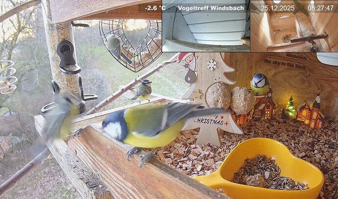 Screenshot_2025-12-25-08-28-07-139_com.google.android.youtube~2