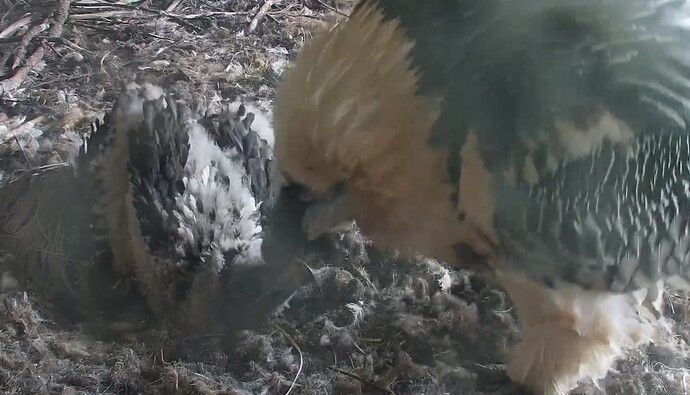 Besuch von Mama 24.04.24