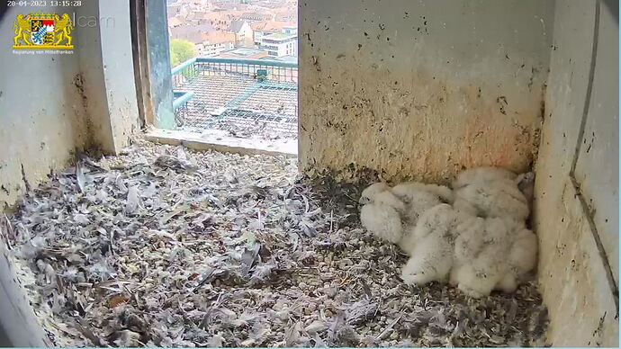 Snap_2023.04.20_13h16m12s_022_