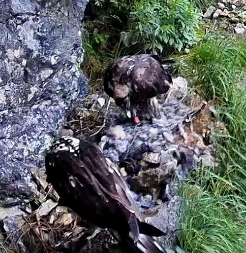 Screenshot_20250712-125839_Chrome