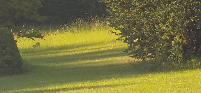 Snap_2026.06.27_06h56m56s_001_