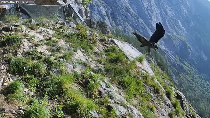 Bildschirmfoto vom 2025-06-12 11-21-10