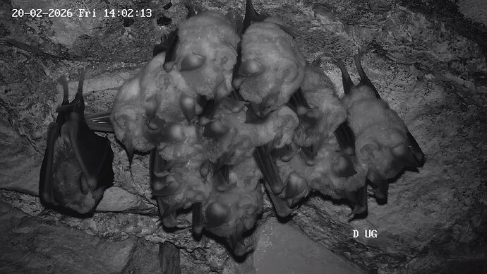 02 20260220140214813-15