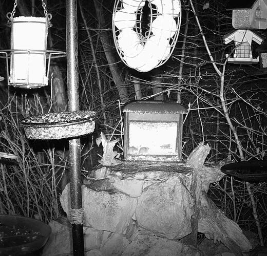Snap_2023.03.10_05h33m00s_001_