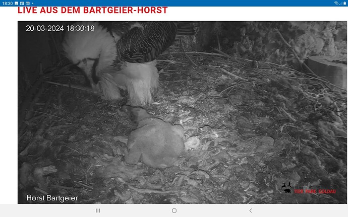 Screenshot_20240320-183032_Chrome