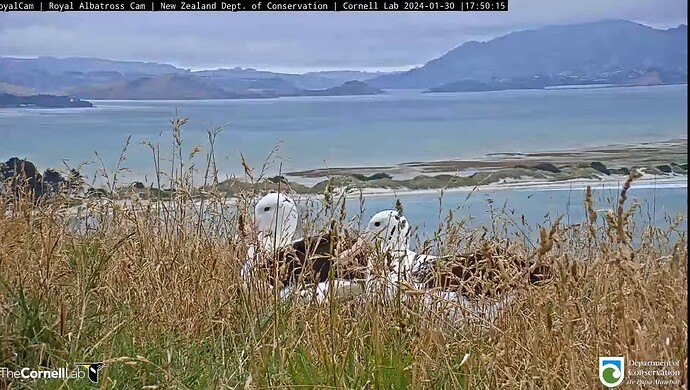 Screenshot_2024-01-30-07-24-01-389_com.google.android.youtube