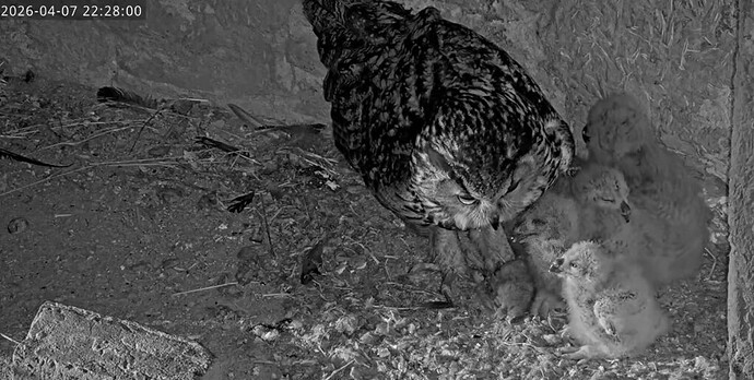 Screenshot_20260407_222832_YouTube