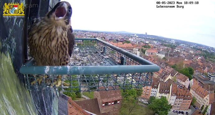 Screenshot_20230508-181002_Samsung Internet