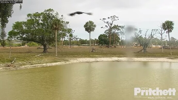 swfl_230404_E_flyby_