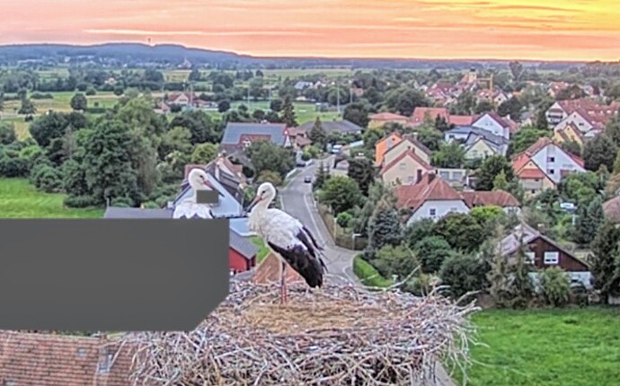 Screenshot_2024-07-21-21-00-21-175_com.android.chrome