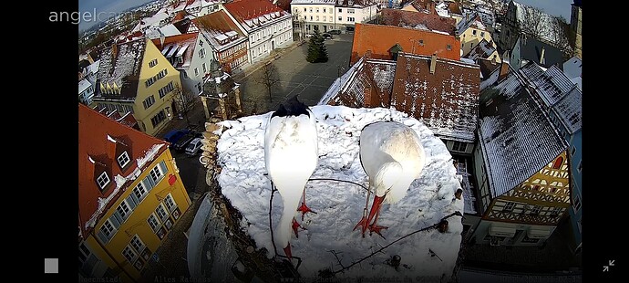 Screenshot_2023-11-30-11-02-51-87_40deb401b9ffe8e1df2f1cc5ba480b12